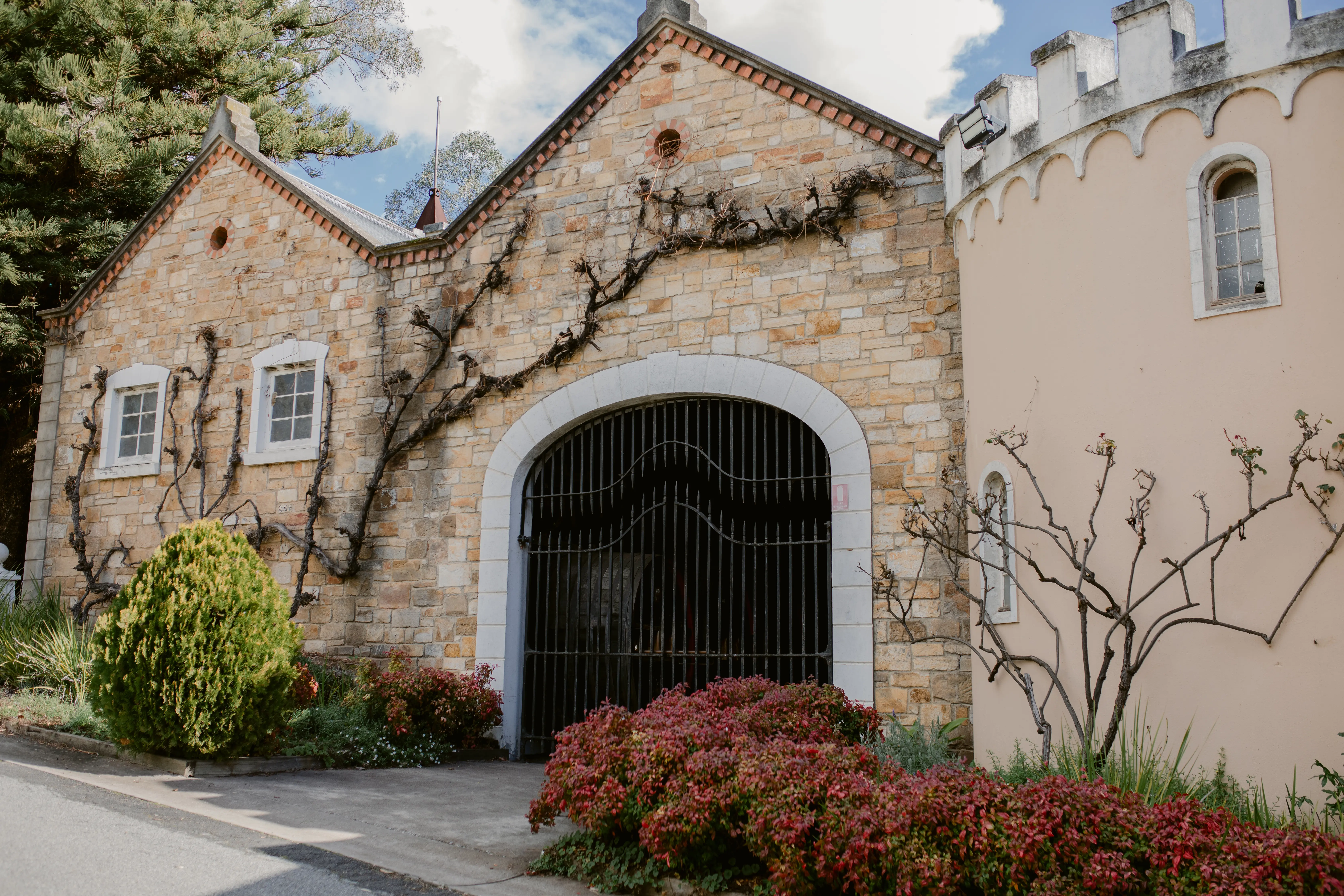 Adelaide tour and wine tasting